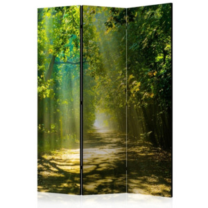 Parawan Artgeist Fairy Forest, 135x172 cm