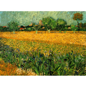 Reprodukcja obrazu Vincenta van Gogha View of arles with irises in the foreground, 40x30 cm