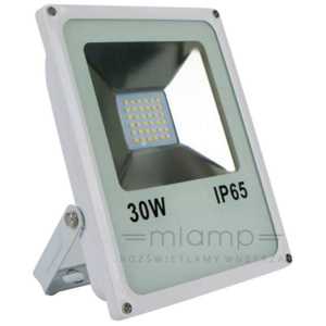 Zewnętrzny projektor MILA 374 elewacyjna OPRAWA do ogrdodu naświetlacz regulowany LED 30W prostokątny IP65 outdoor biały