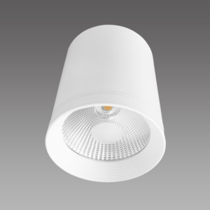 Lampa sufitowa Zovo 1 biała LP-32015/1SM - Light Prestige