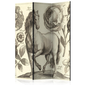 Parawan Artgeist Peony And Horse, 135x172 cm