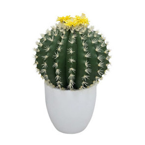 Miloo :: Kaktus w donicy 99cm