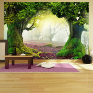 Tapeta wielkoformatowa Artgeist Enchanted Forest, 400x280 cm