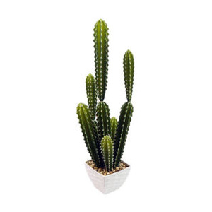 Miloo :: Kaktus w donicy 68cm