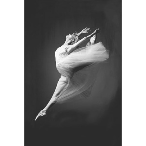Plakat, Obraz Ballerina - grace in motion, (61 x 91,5 cm)