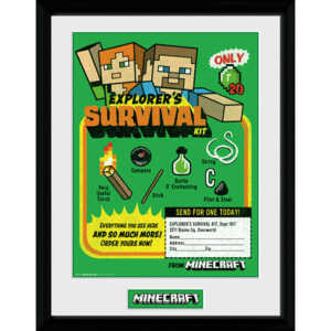 Oprawiony Obraz Minecraft - Survival Kit
