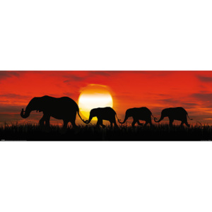 Plakat, Obraz Sunset Elephants, (30 x 91,5 cm)