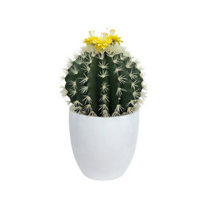 Miloo :: Kaktus w donicy 76cm