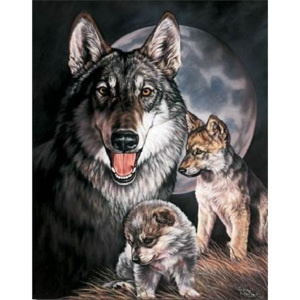 Metalowa tabliczka Graham - Wolf Experience, (31,5 x 40 cm)