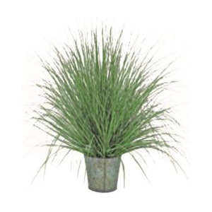 Miloo :: Sztuczna trawa dekoracyjna Natural 50cm