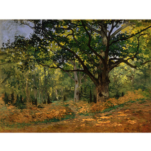 Reprodukcja obrazu Claude'a Moneta The Bodmer Oak, Fontainebleau Forest, 70x50 cm