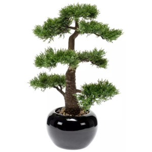 Emerald Sztuczny cedr bonsai, zielony, 47 cm, 420005