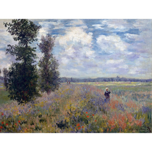 Reprodukcja obrazu Claude'a Moneta Poppy Fields near Argenteuil, 40x30 cm