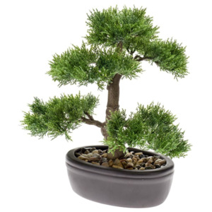 Emerald Sztuczny cedr bonsai, zielony, 32 cm, 420001