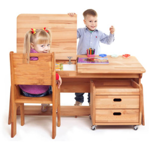 Dziecięce biurko z regulacją Ecodesk B-112