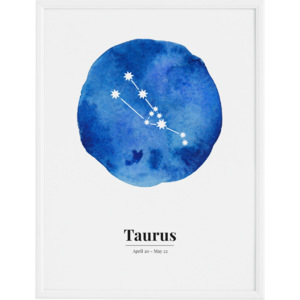 Plakat Taurus 70 x 100 cm