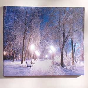 Obraz LED "Zimowa alejka"