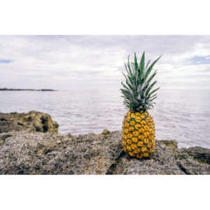 Fototapeta ananas na skałach na tle oceanu FP 884