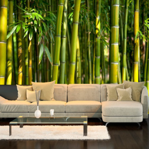 Tapeta wielkoformatowa Artgeist Oriental Garden, 300x210 cm