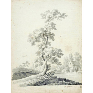 Reprodukcja Lonely tree, Zygmunt Vogel