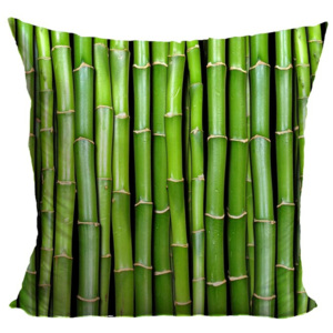 Poduszka Bambus (Wymiary: 40 x 40 cm)