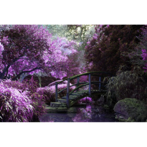 Fototapeta japoński ogród FP 1525