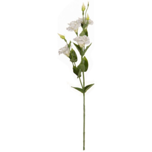 Kwiat Eustomy wys. 80cm