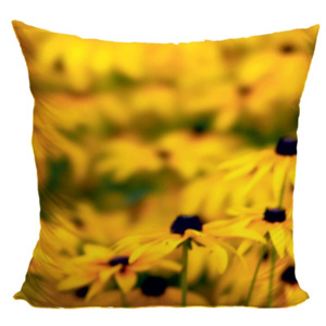 Poduszka Żółte kwiaty na polu (Wymiary: 40 x 40 cm)
