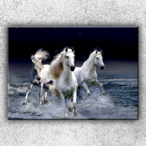 Fotoobraz na płótnie Dzikie konie 1 70x50 cm