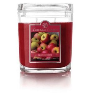 Colonial Candle świeca woskowa w szkle Apple Orchard 623g