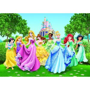 AG design Fototapeta wszystkie księżniczki Disneya 360 x 254 cm 4 sztuki