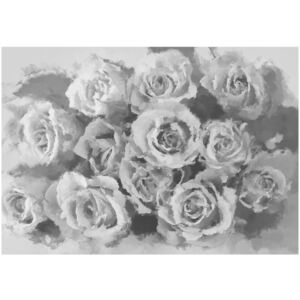 Fototapeta HD Siwy bukiet róż, 250x193 cm