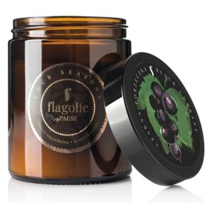Flagolie - Czarna porzeczka - Naturalna świeca zapachowa (120g)