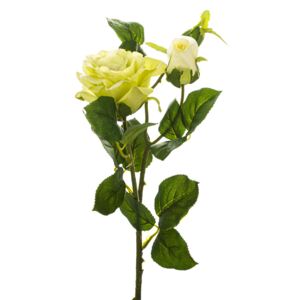 Róże, jasnofioletowy - żóltozielony - velikost 58cm
