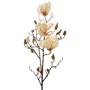 Magnolia, jasnoróżowy - jasnoróżowy - velikost 88cm