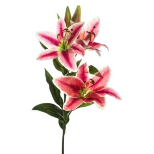Lilie, różowy - różowy - velikost 75cm