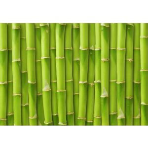 Dywan winylowy Bamboo, 52x75 cm