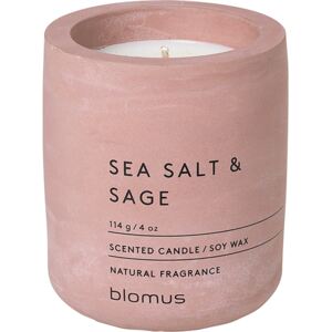 Świeca zapachowa Fraga Sea Salt & Sage 8 cm