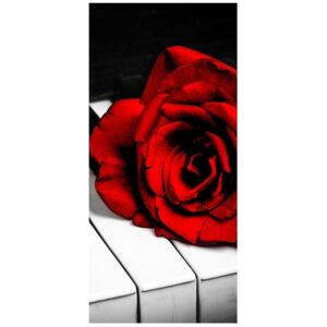 Fototapeta, Róża na fortepianie, 1 element, 95x205 cm