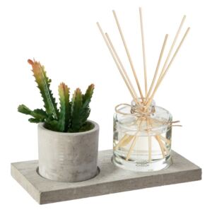 Elegancki zestaw zapachowy AMBRE & JERSEY w komplecie z kaktusem i patyczkami