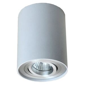 Rondoo lampa sufitowa 1-punktowa kierunkowa biała/srebrna 45519