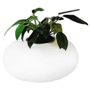 Lampa stołowa Flora AZzardo Stołowe Biały E27 LED AZ0185