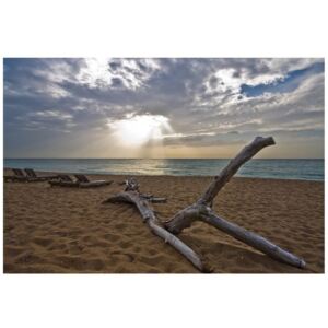 Fototapeta Plaża - Benson Kua, 8 elementów, 368x248 cm