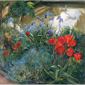 Reprodukcja Red Tulips and Geese, Timothy Easton