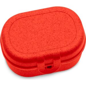 Lunchbox Pascal Mini Organic czerwony