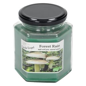 Świeca zapachowa Forest Rain 260g