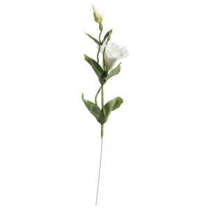 Kwiat Eustomy wys. 48cm