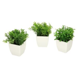 Dekoracja Mini Plants Herbs wys. 13cm