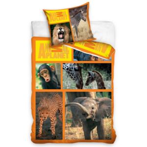 Carbotex Pościel bawełniana Animal Planet – Safari, 140 x 200 cm, 70 x 80 cm