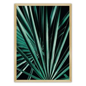 Plakat Dark Palm Tree